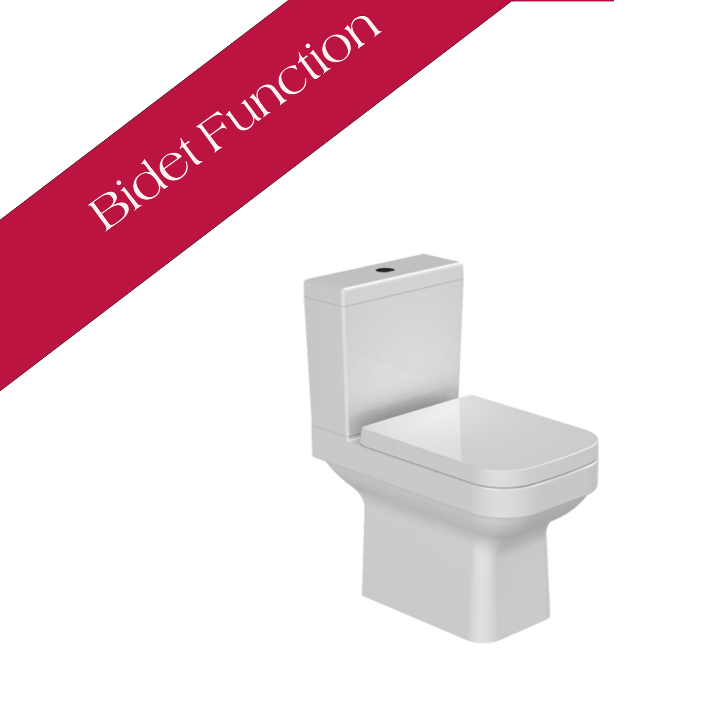Noura Close Coupled Bidet Toilet With Soft Close Seat 008700-V1-P-01
