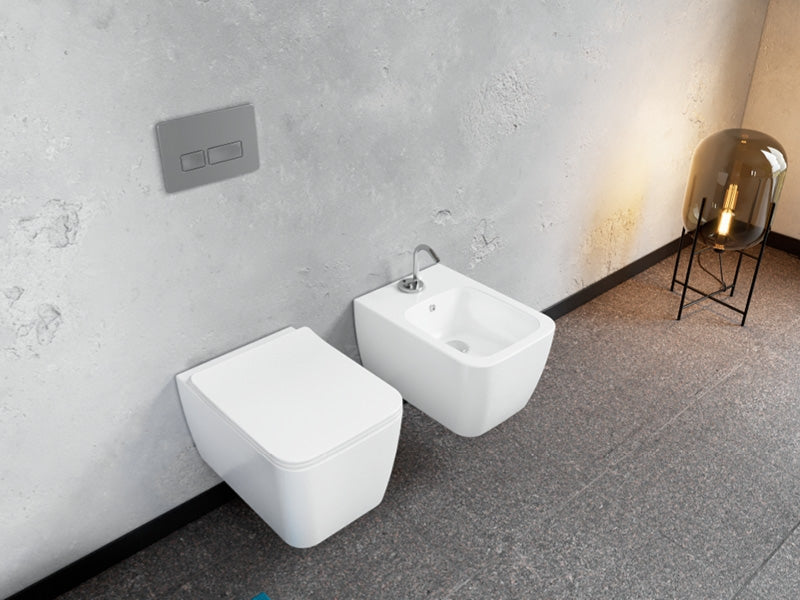 Hera Rimless Wall Hung Toilet With Soft Close Seat 019700-W