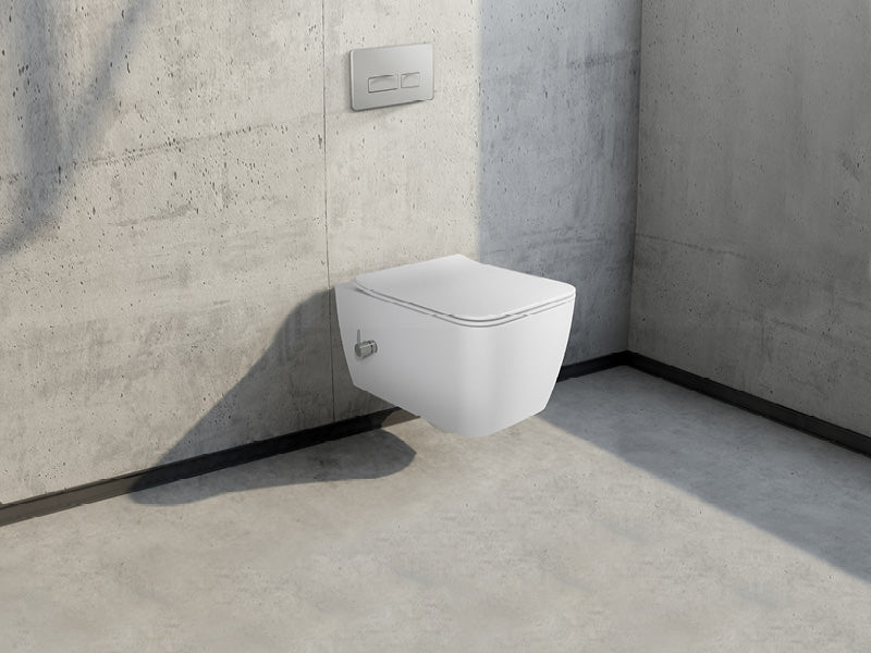 Hera Rimless Wall Hung Toilet With Soft Close Seat Integrated Bidet Faucet Cold Water 019700-S